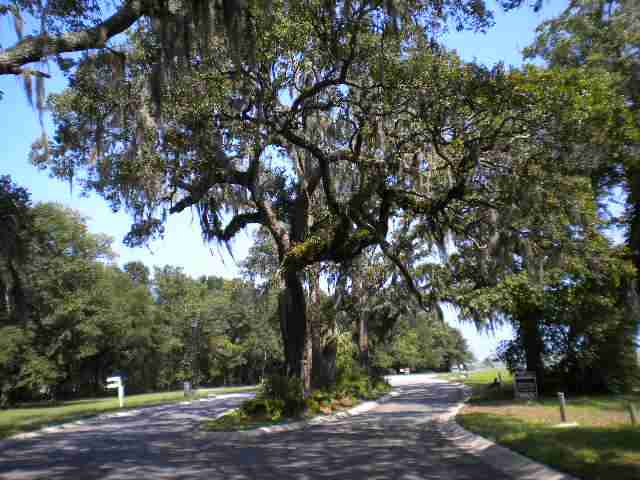 4 Flagg Street Murrells Inlet, SC 29576 - Photo 3 of 7