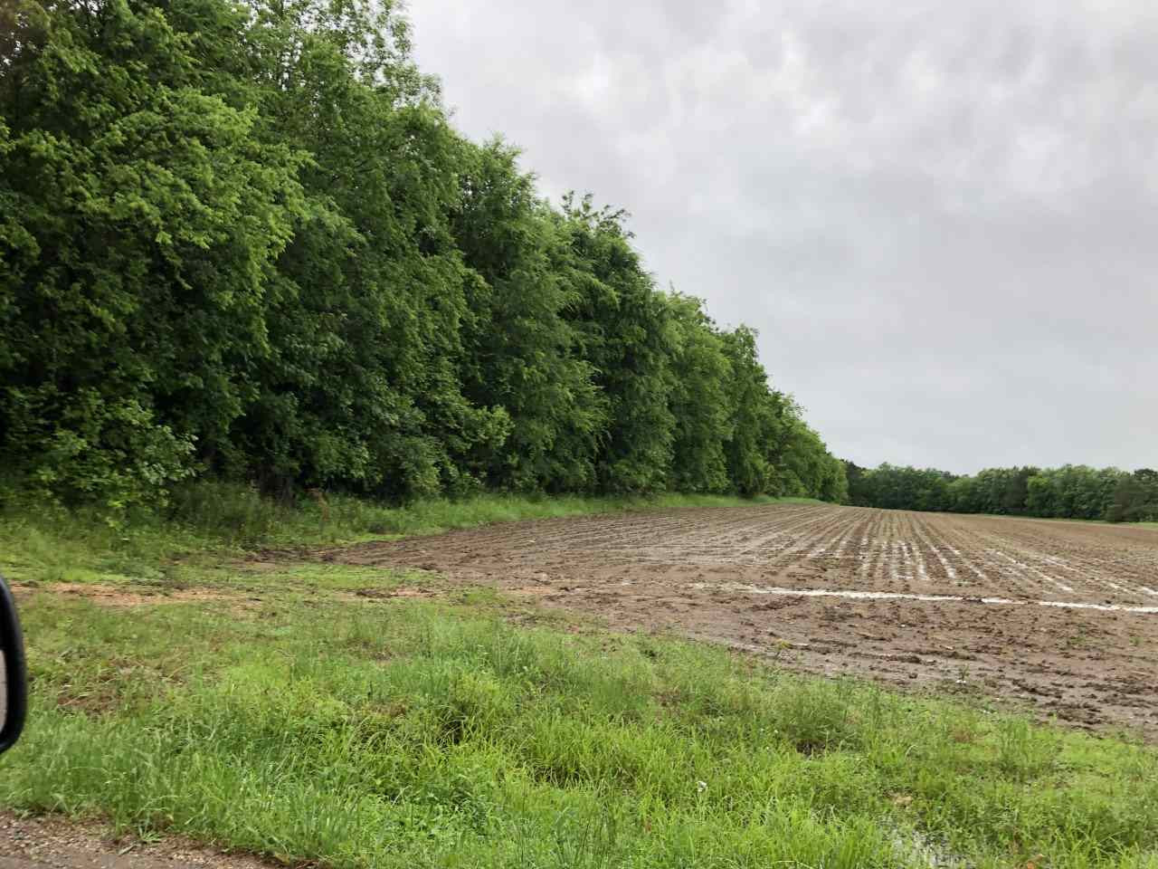 1 Townsend Road Forest, MS 39074 - Photo 1 of 1 Photo 1