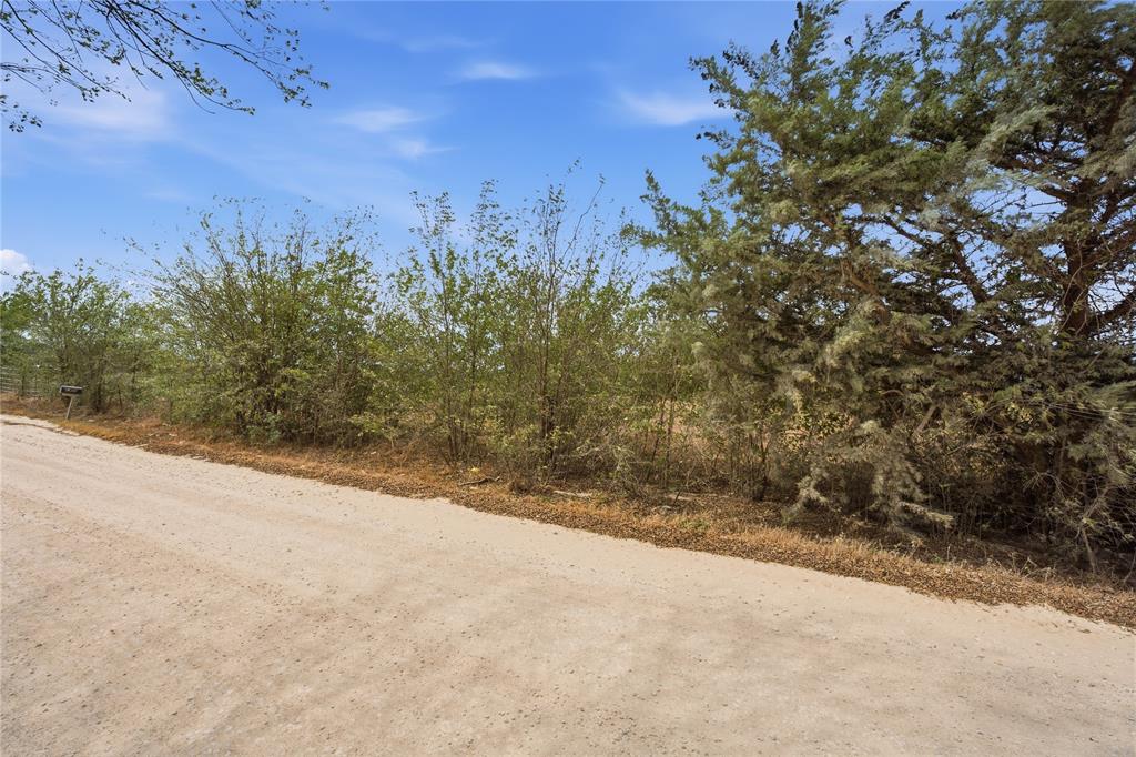 0 Northeast CR 1060 Rice, TX 75155 - Photo 29 of 30 Unpaved road with surrounding vegetation and mature trees