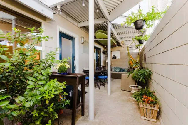 a potted plant sitting in front of a building