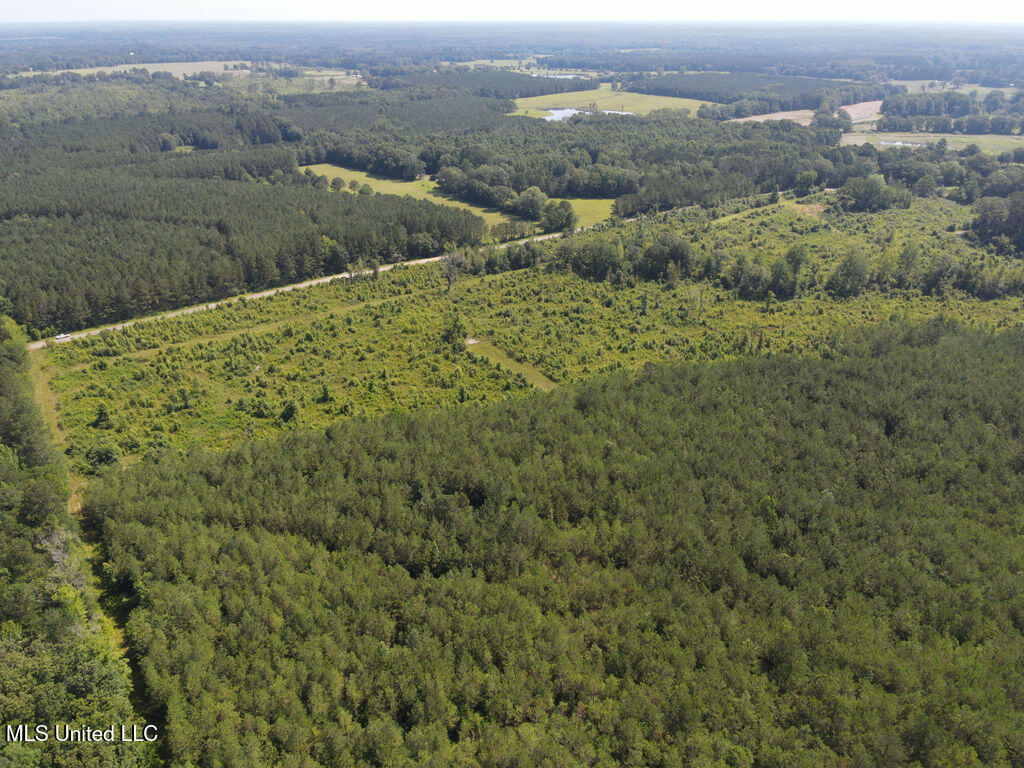 2 County Road 1024 Carthage, MS 39051 - Photo 1 of 9 dji_fly_20250624_102234_802_175077900891