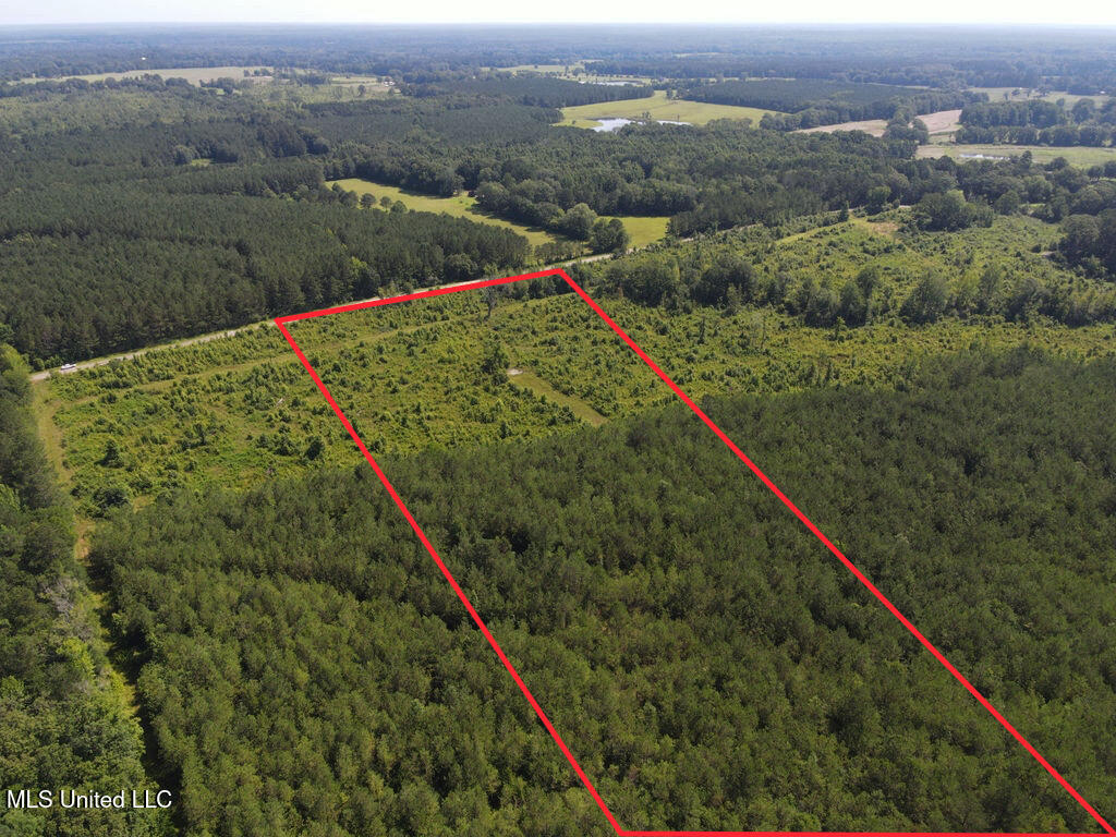 2 County Road 1024 Carthage, MS 39051 - Photo 3 of 9 31 acres overview