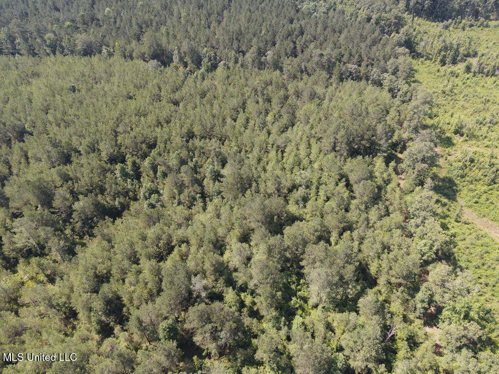 2 County Road 1024 Carthage, MS 39051 - Photo 4 of 9 dji_fly_20250624_102336_804_175077902171