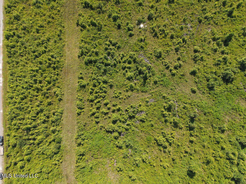 2 County Road 1024 Carthage, MS 39051 - Photo 5 of 9 dji_fly_20250624_104542_809_175078036201