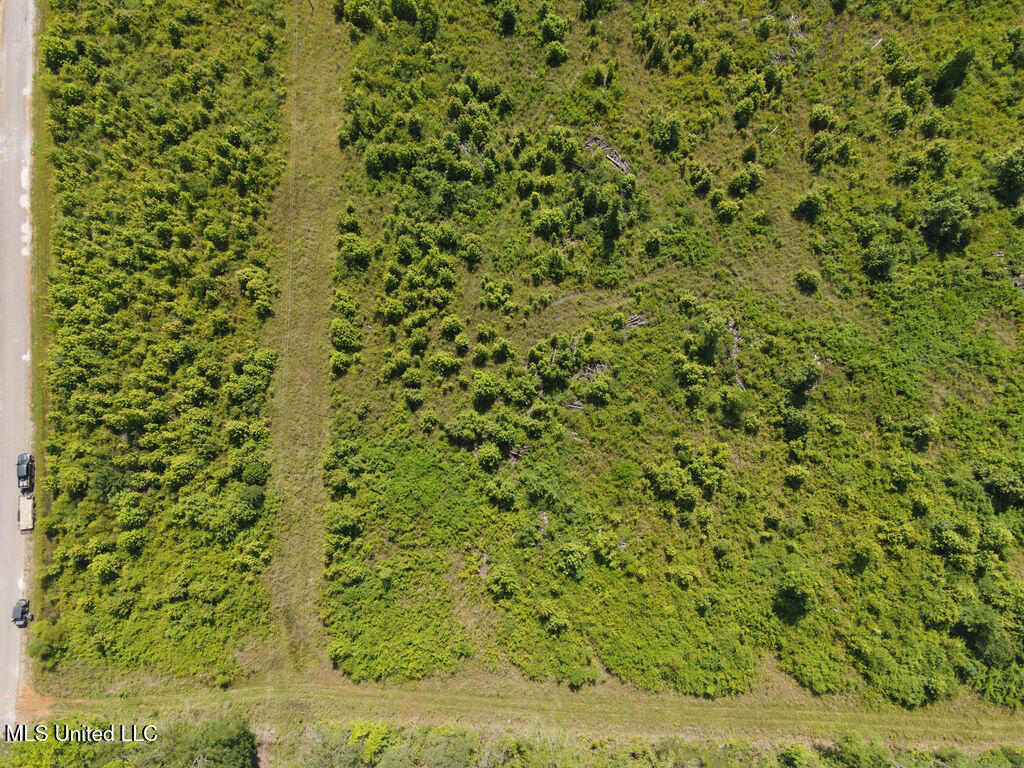 2 County Road 1024 Carthage, MS 39051 - Photo 6 of 9 dji_fly_20250624_104552_810_175078037044