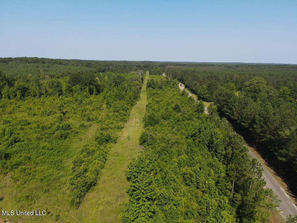 2 County Road 1024 Carthage, MS 39051 - Photo 7 of 9 dji_fly_20250624_094942_788_175077661198