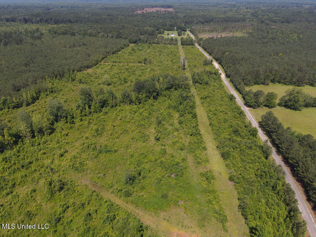 2 County Road 1024 Carthage, MS 39051 - Photo 8 of 9 dji_fly_20250624_104826_814_175078040144