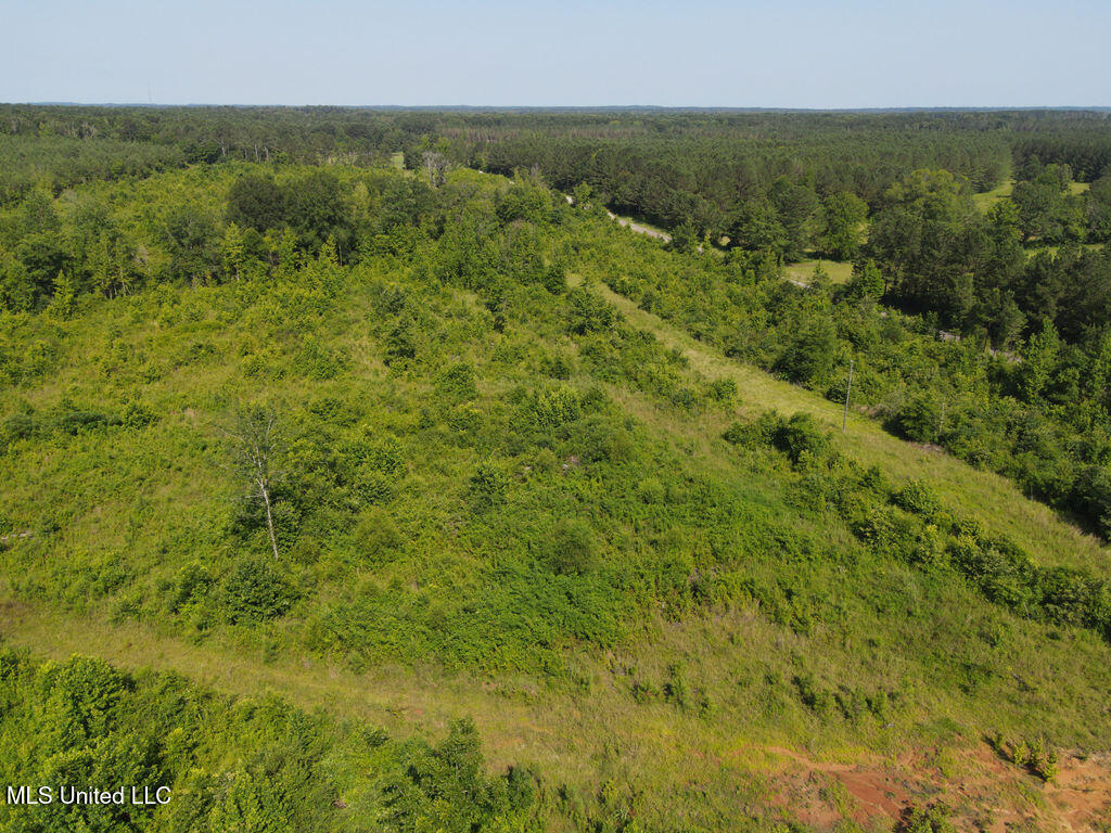 2 County Road 1024 Carthage, MS 39051 - Photo 9 of 9 dji_fly_20250624_095134_792_175077671900