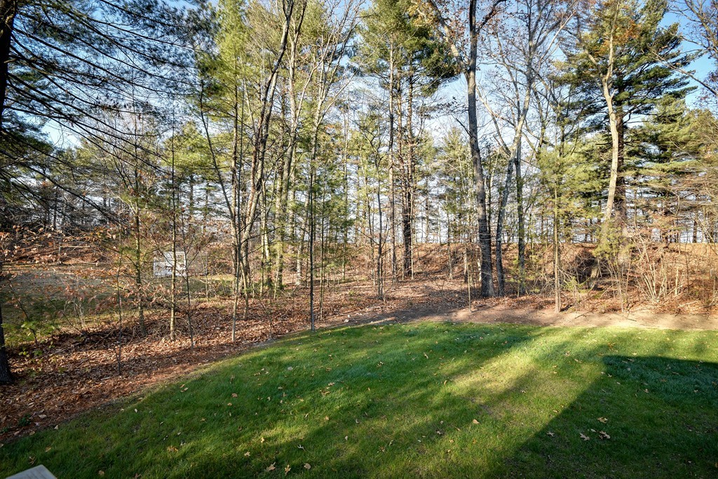 8 Anthony Road Wayland, MA 01778 - Photo 27 of 30
