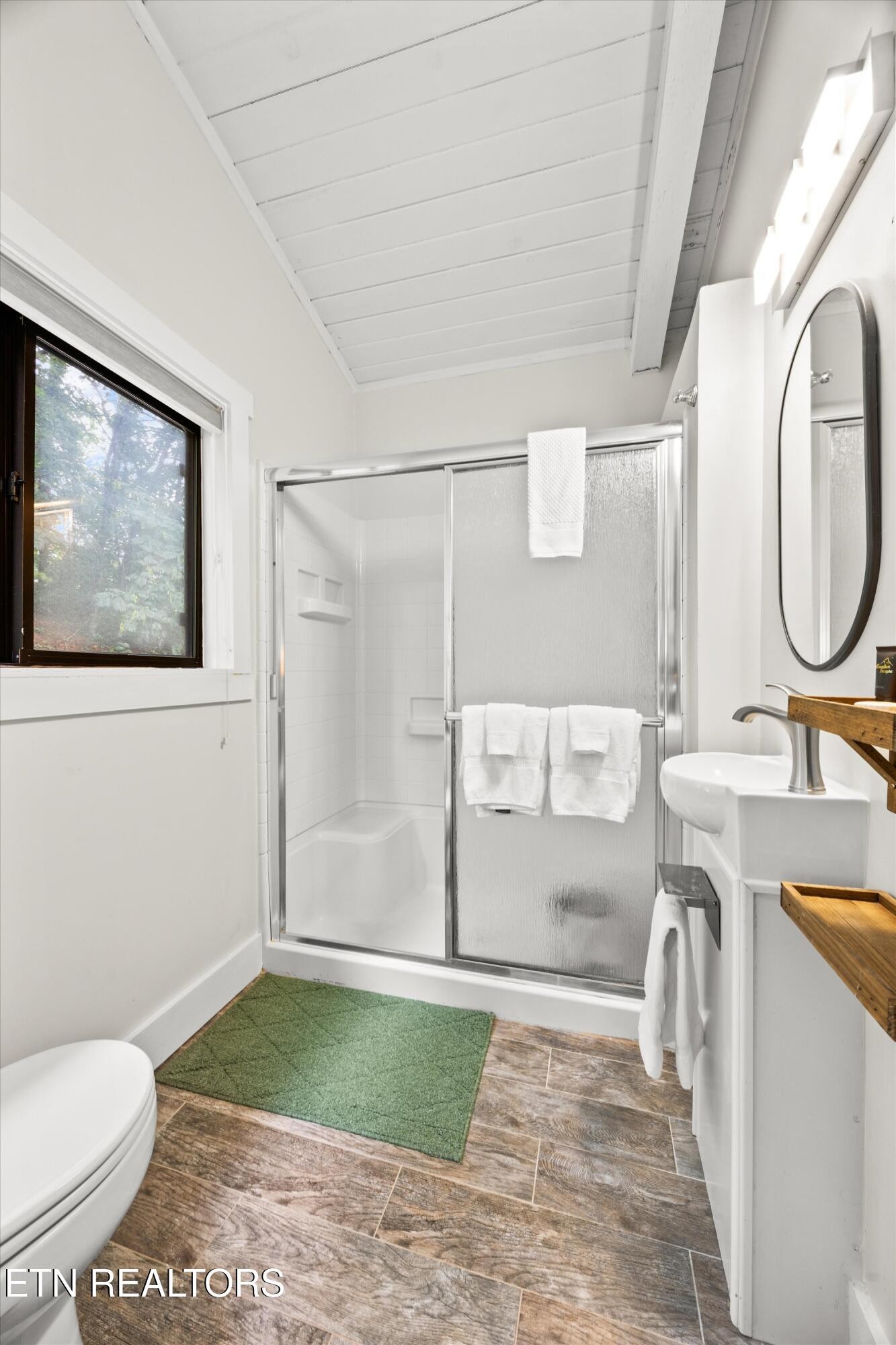 123 Cutter Gap Road Townsend, TN 37882 - Photo 15 of 40 a bathroom with a sink a toilet and a shower