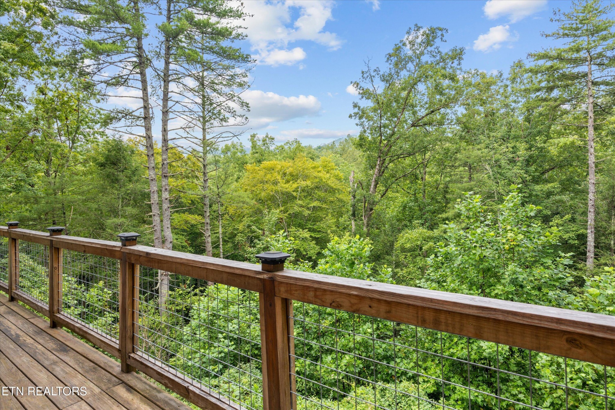 123 Cutter Gap Road Townsend, TN 37882 - Photo 31 of 40 a view of a forest from a balcony