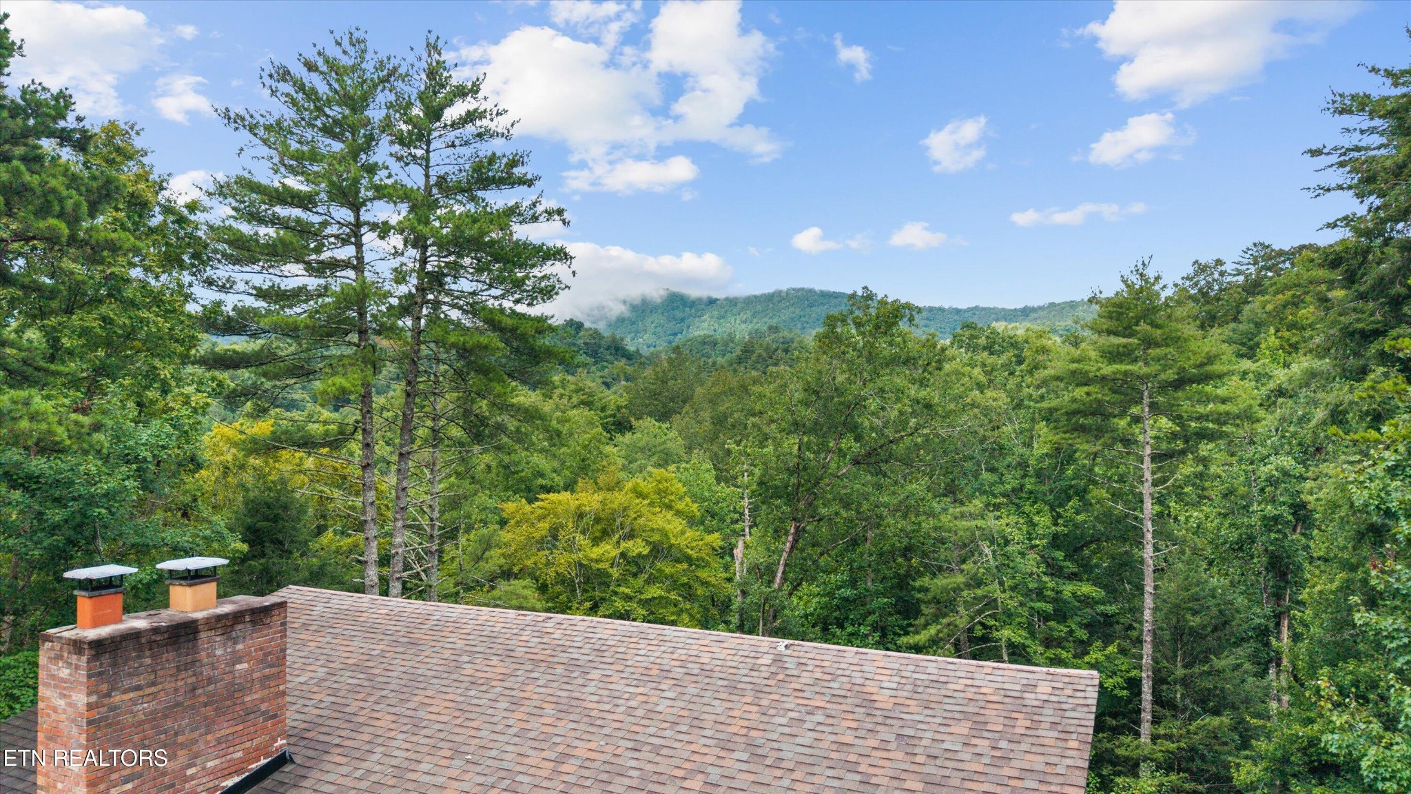 123 Cutter Gap Road Townsend, TN 37882 - Photo 36 of 40 a view of an outdoor space