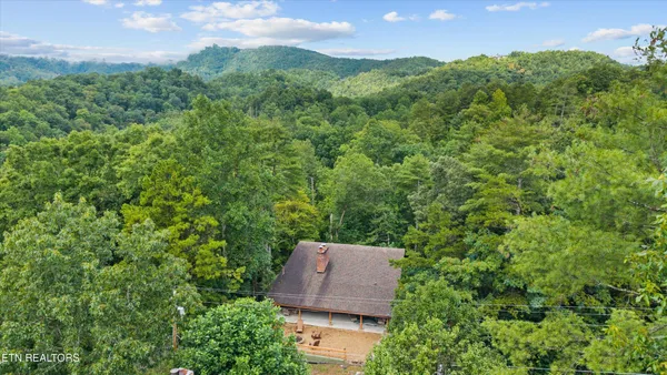 a view of a lush green forest with a mountain and trees
