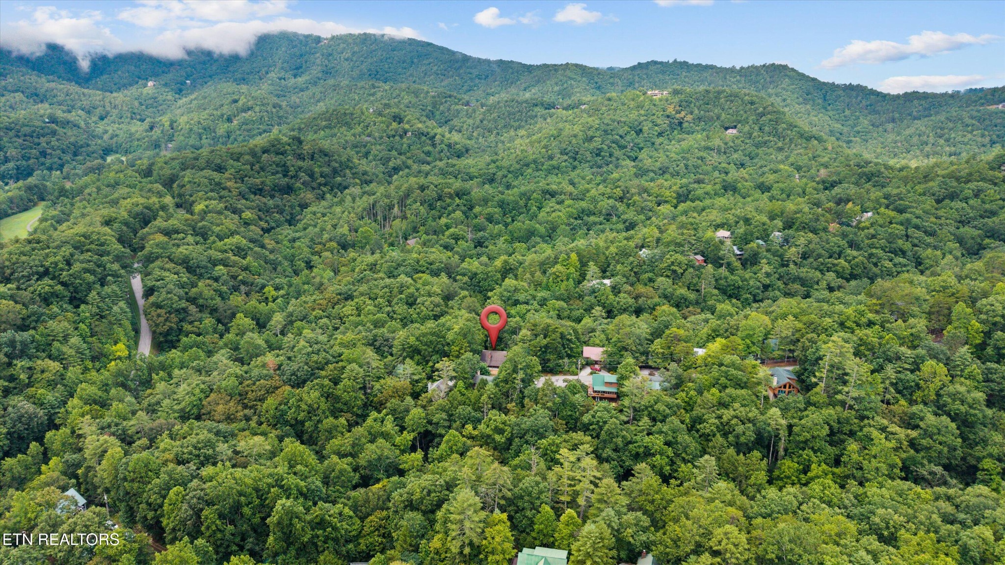 123 Cutter Gap Road Townsend, TN 37882 - Photo 39 of 40 a view of a lush green forest with a mountain and trees