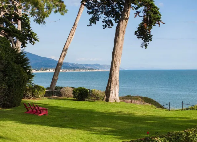 a view of a garden with an ocean