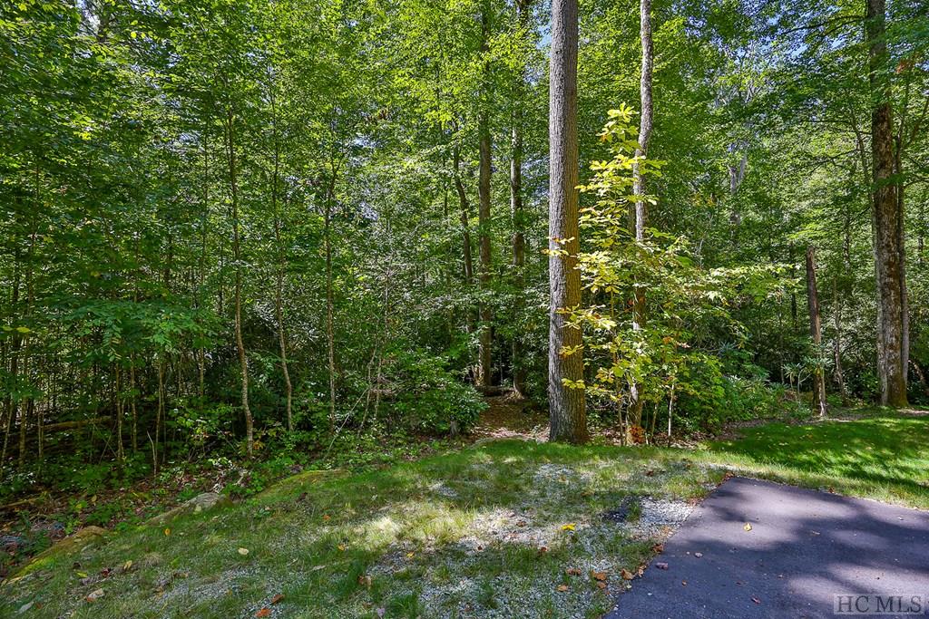 Lot 86 Flagstone Road Sapphire, NC 28774 - Photo 22 of 45 Gallery Image 22