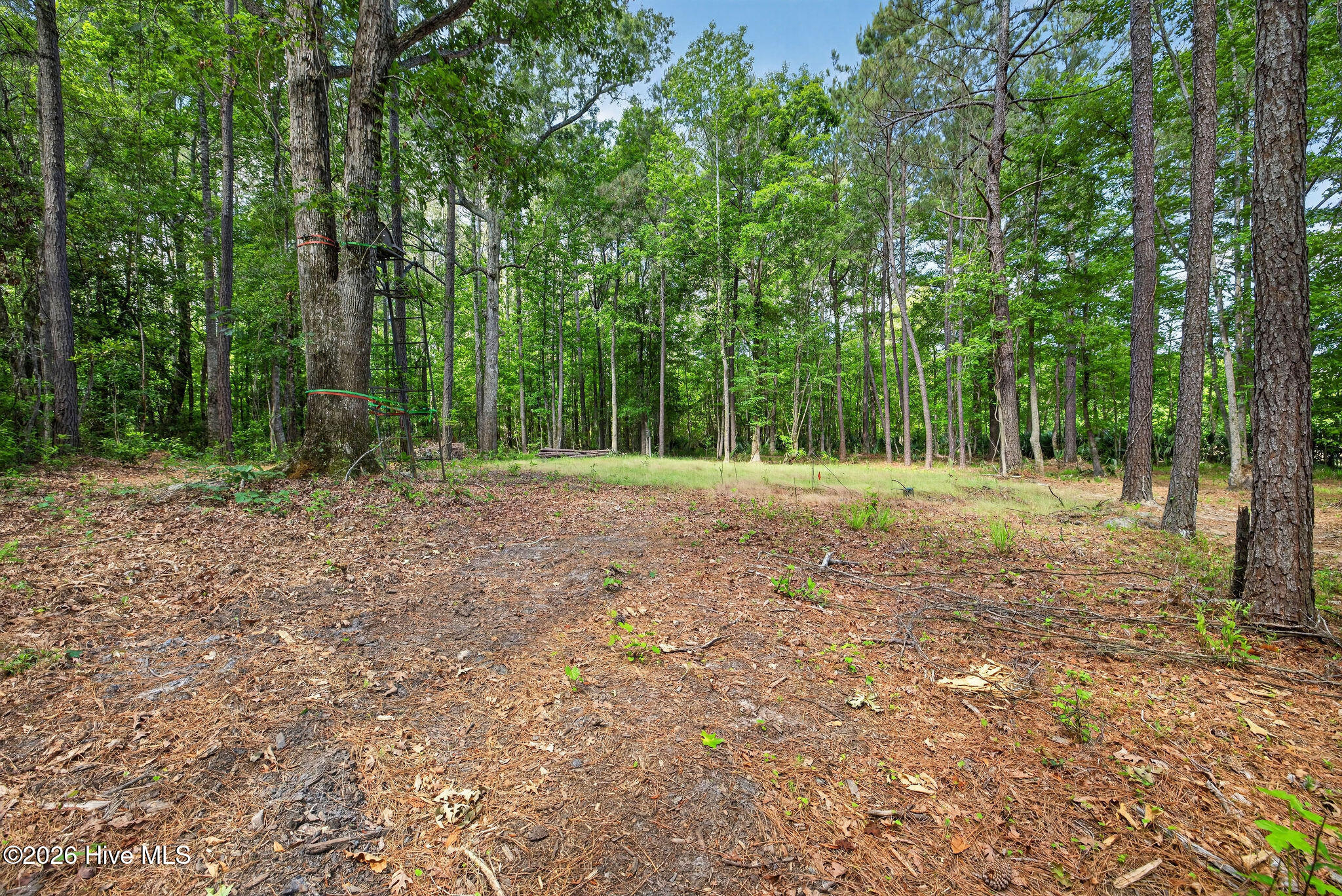 451 Governors Road Southeast Winnabow, NC 28479 - Photo 54 of 60 451GovernorsRoadSE-19