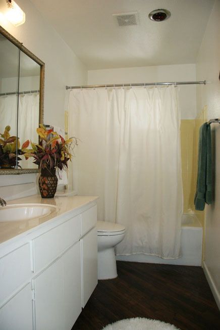 6313 East Adobe Road Mesa, AZ 85205 - Photo 13 of 26 Guest Bath