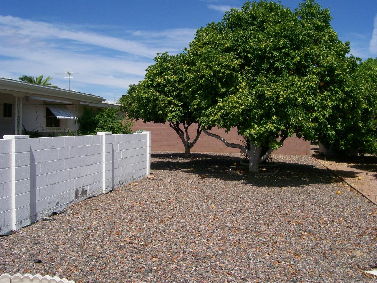 6313 East Adobe Road Mesa, AZ 85205 - Photo 24 of 26 HUGE LOT