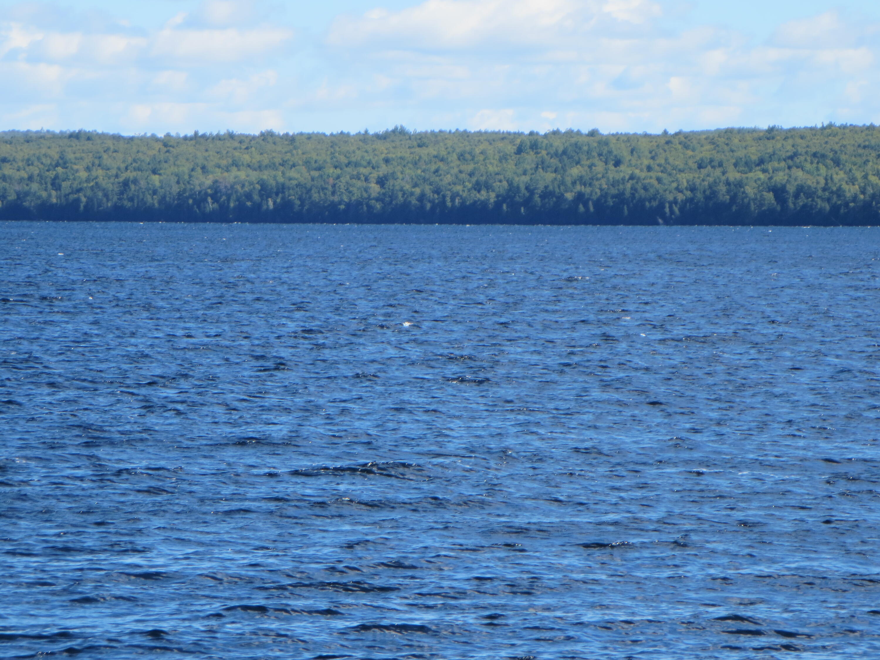 7 Fire Road 3 Milo, ME 04463 - Photo 11 of 57 IMG_0886