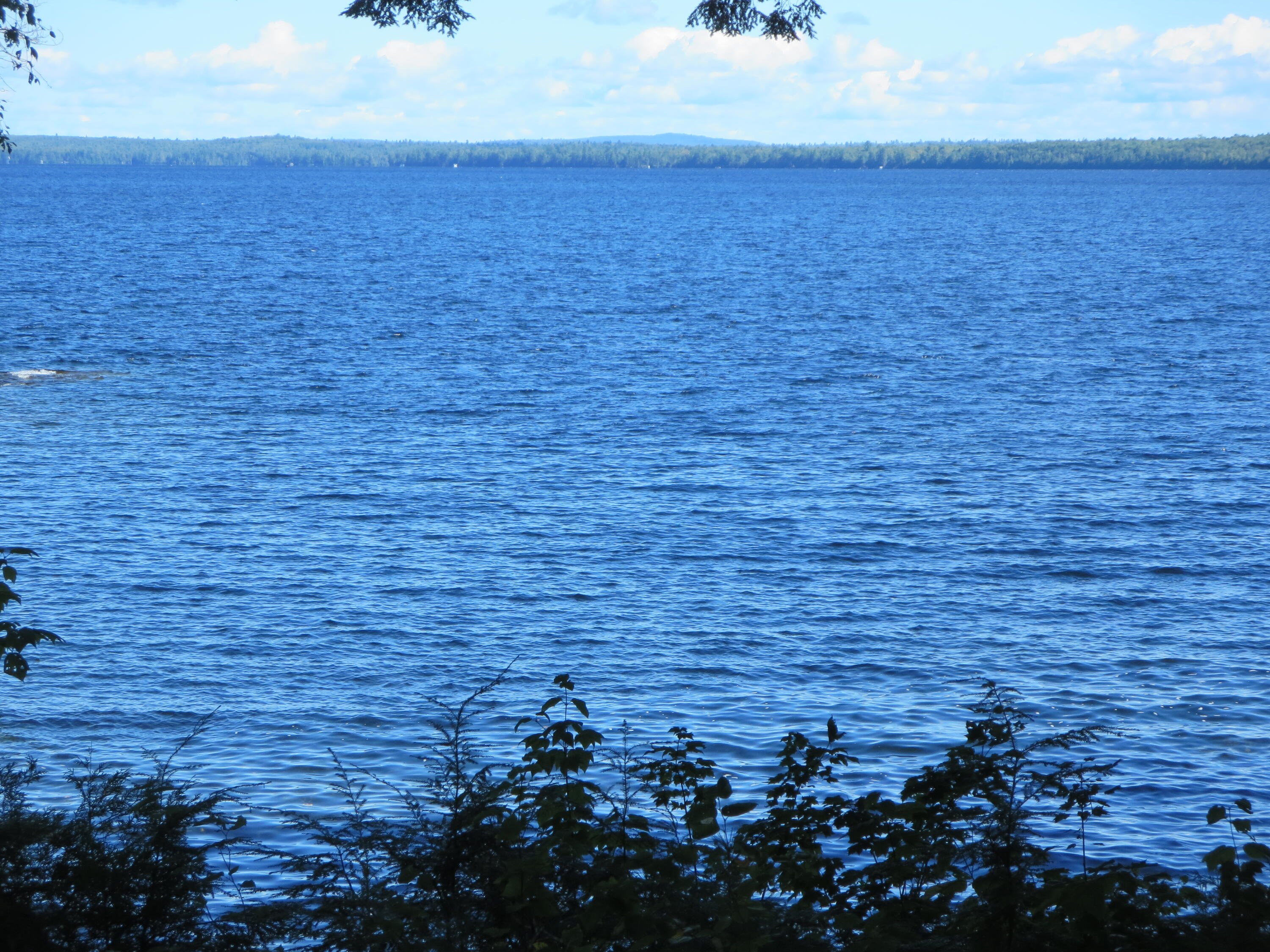 7 Fire Road 3 Milo, ME 04463 - Photo 45 of 57 IMG_0875