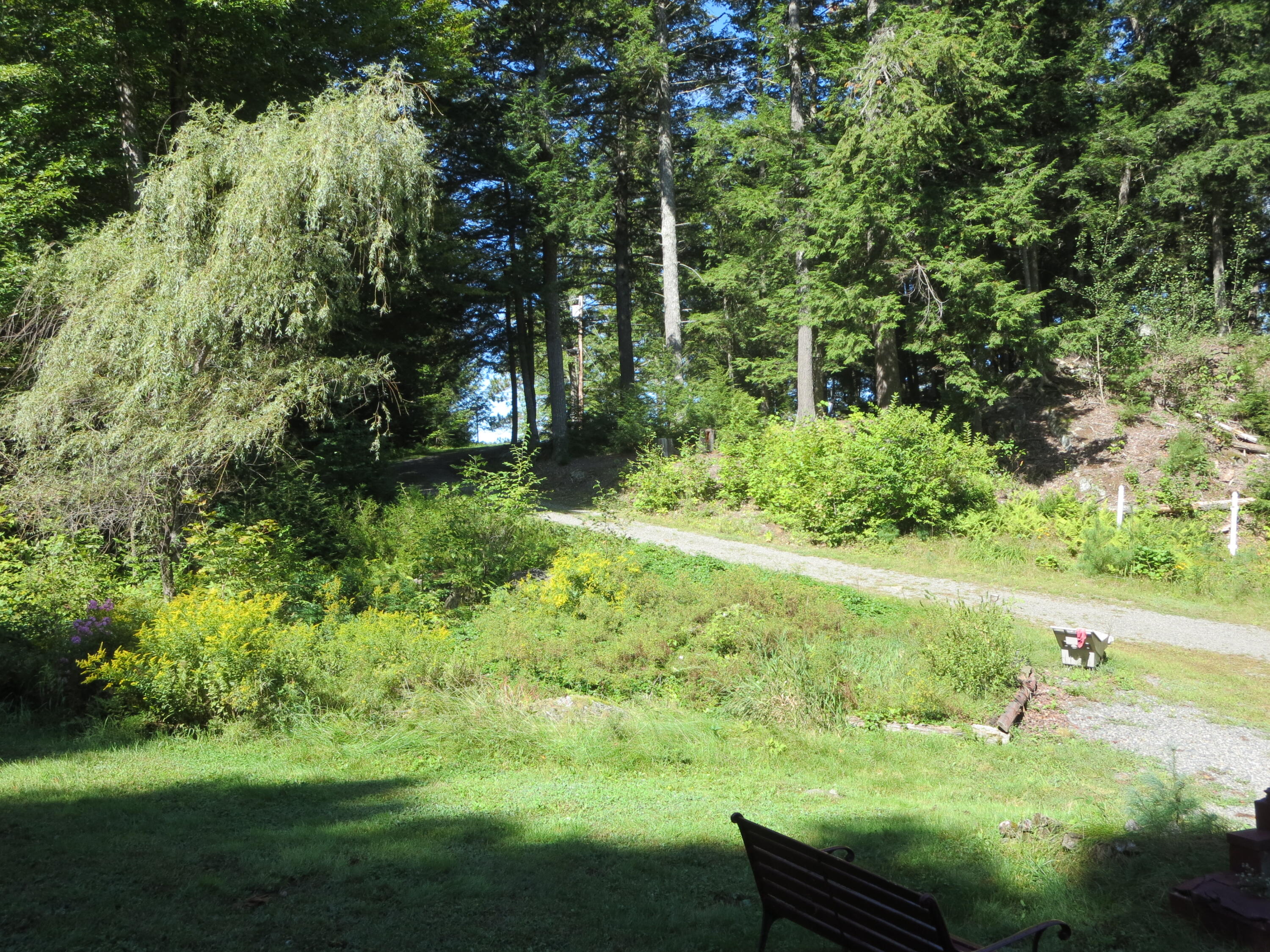 7 Fire Road 3 Milo, ME 04463 - Photo 49 of 57 IMG_0881