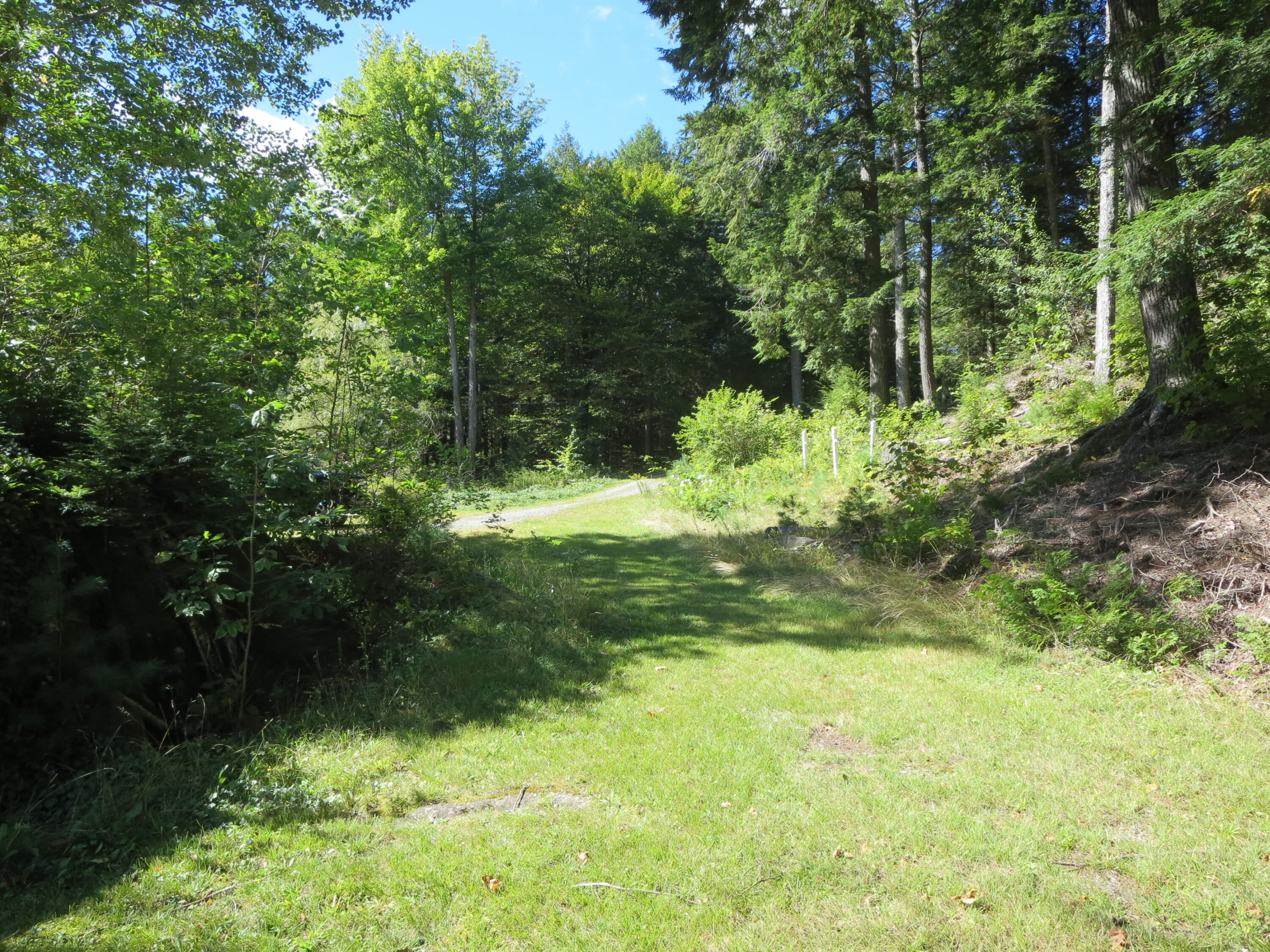 7 Fire Road 3 Milo, ME 04463 - Photo 51 of 57 IMG_0888