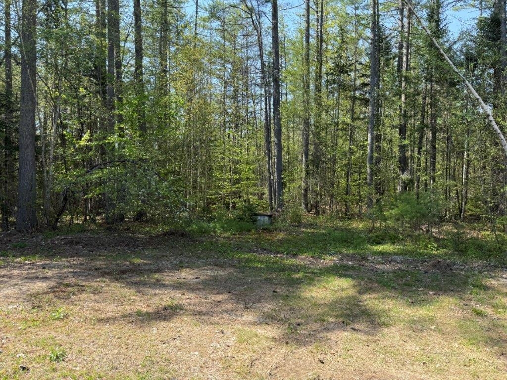 48 Spa Road Danbury, NH 03230 - Photo 29 of 38