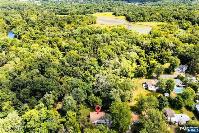 a view of a yard with flower plants
