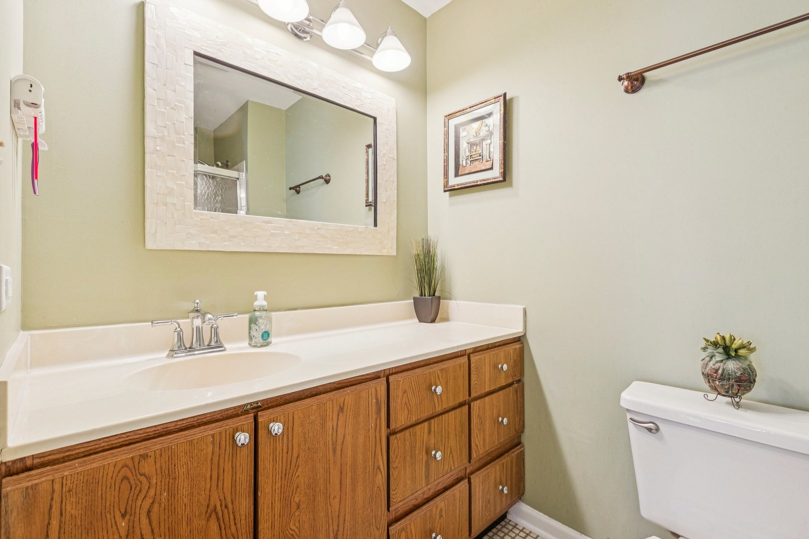 1192 Sumac Trail Hoffman Estates, IL 60192 - Photo 29 of 39 a bathroom with a sink vanity and a mirror