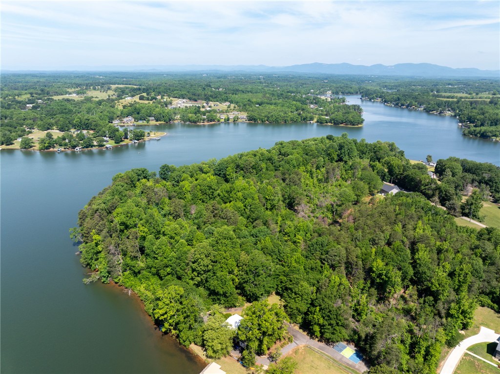 0 Ben Hurt Road Lyman, SC 29365 - Photo 6 of 21 Discover vast waterfront acreage perfect for your private oasis or development.