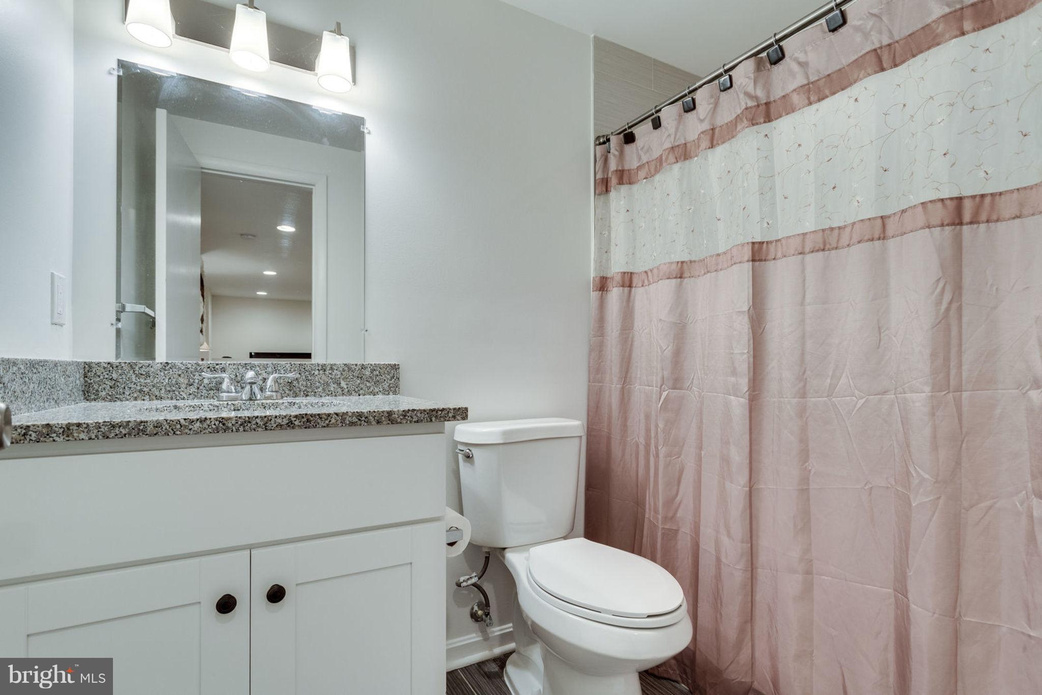 13310 Fort Washington Road Fort Washington, MD 20744 - Photo 15 of 29 Beautiful Basement Bathroom