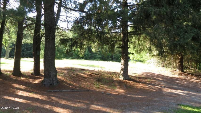 119 Dailey Road Cochecton, NY 12726 - Photo 14 of 16