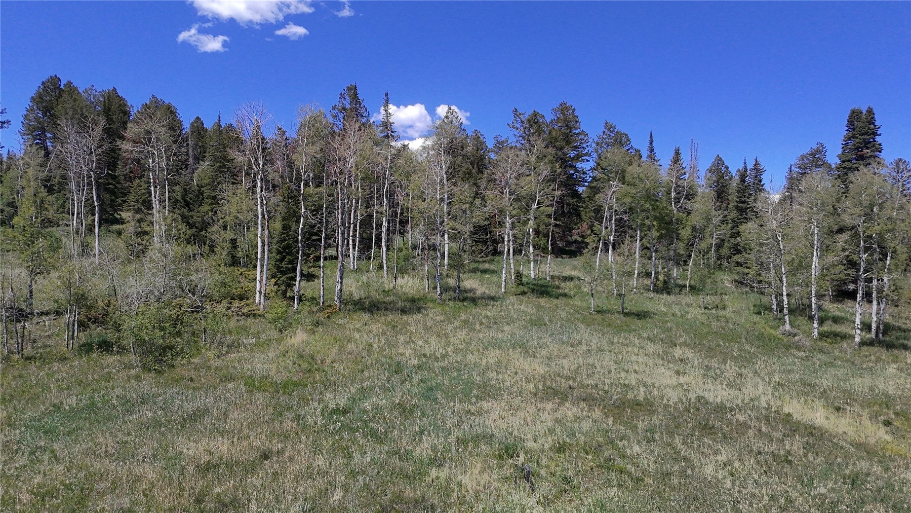 Tbd Spring Creek Ranch Road Silverthorne, CO 80498 - Photo 36 of 48