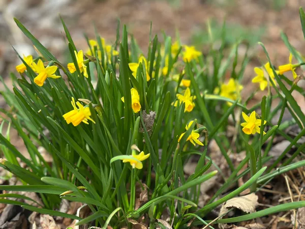 319 Minerva Drive, Murfreesboro, TN 37130