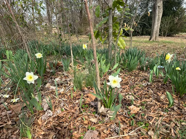 319 Minerva Drive, Murfreesboro, TN 37130