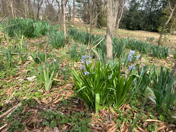 319 Minerva Drive, Murfreesboro, TN 37130