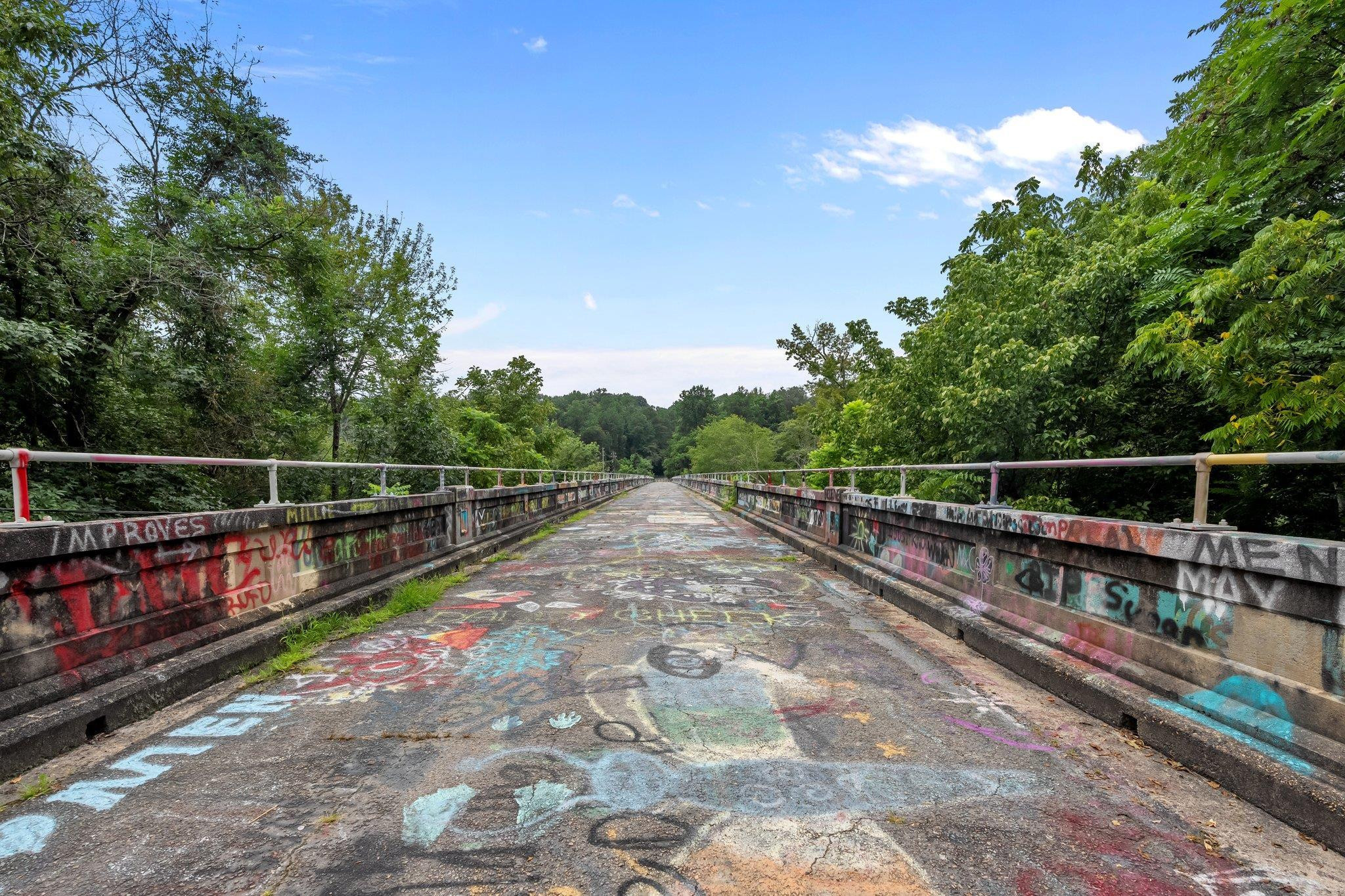 941 Bynum Road Pittsboro, NC 27312 - Photo 48 of 50 Walk to the Bynum Bridge- for more than 100 years this has been towering over the HAW and carrying f