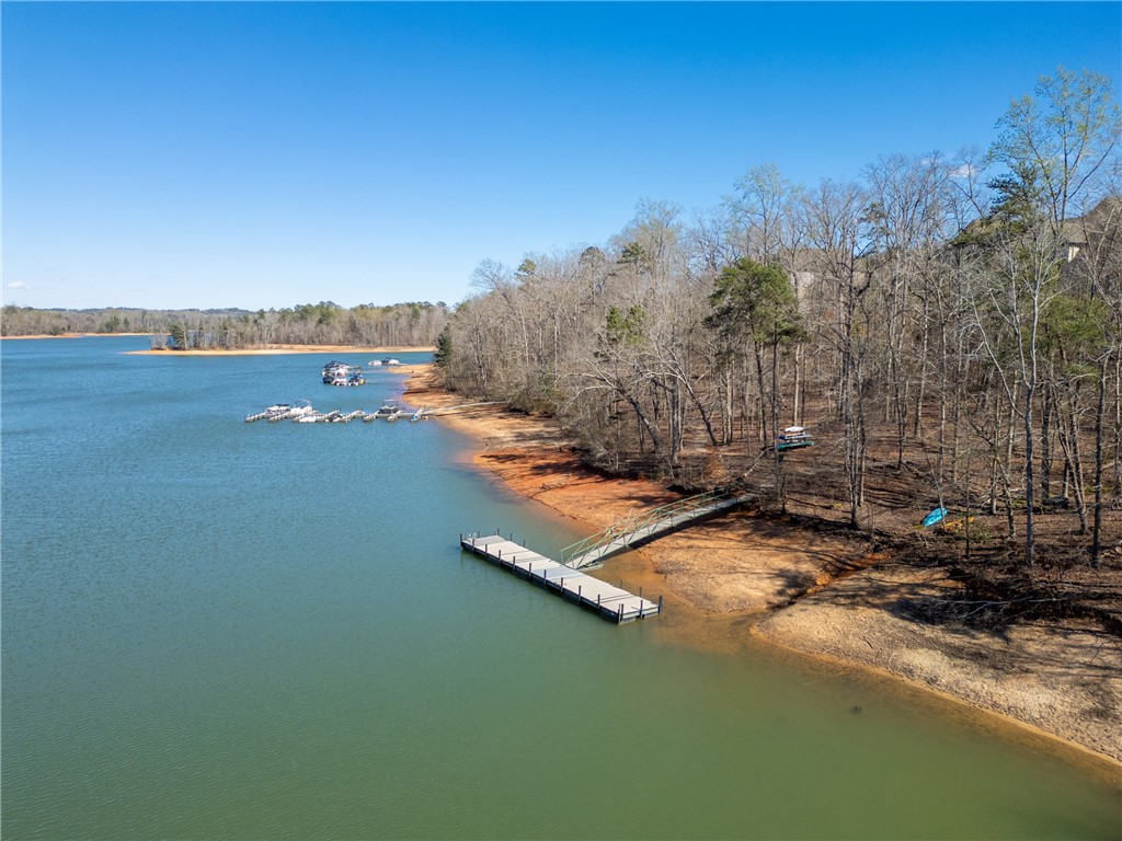 433 Harts Cove Way Seneca, SC 29678 - Photo 20 of 24 Swim dock