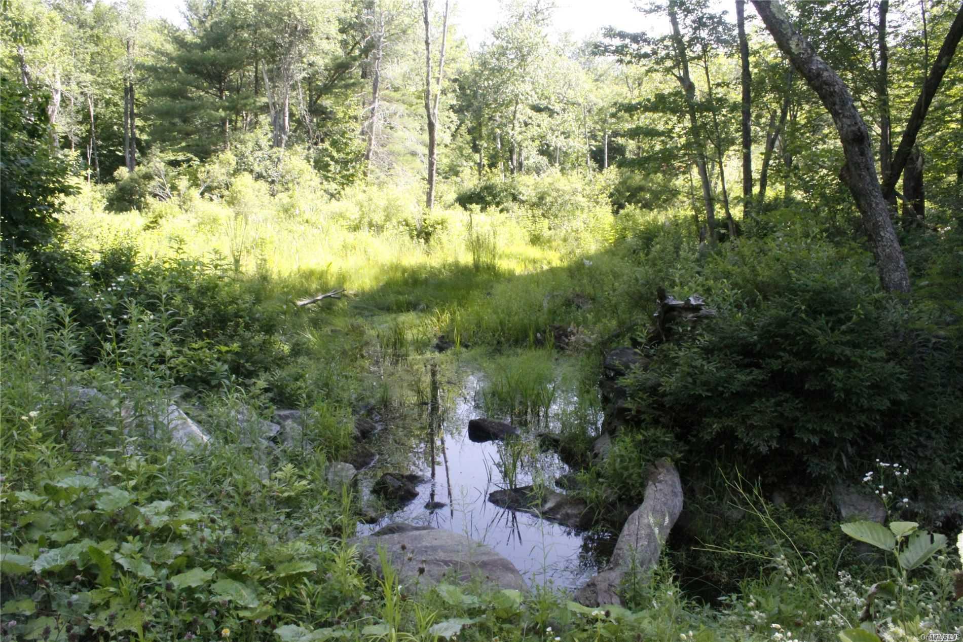 Lot 72 Becket Road Otis, MA 01253 - Photo 1 of 1 Stream