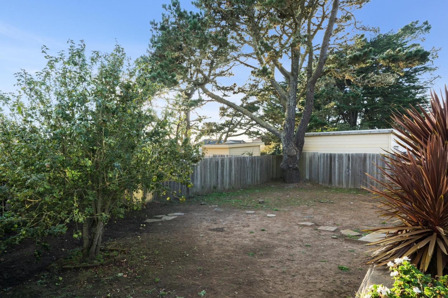 548 Inverness Drive Pacifica, CA 94044 - Photo 20 of 24 a view of a backyard with a tree
