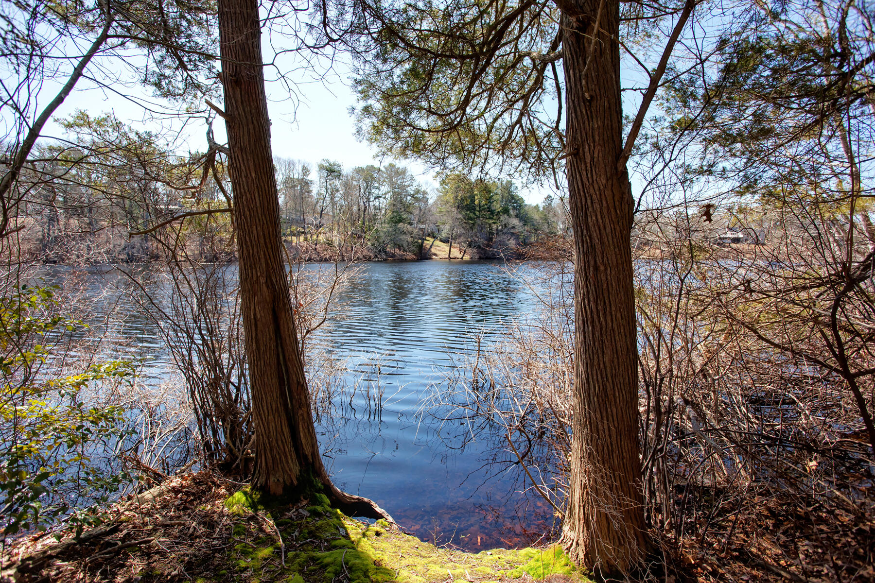 321 Tower Hill Road Osterville, MA 02655 - Photo 12 of 43 a view of water fountain in front of lake