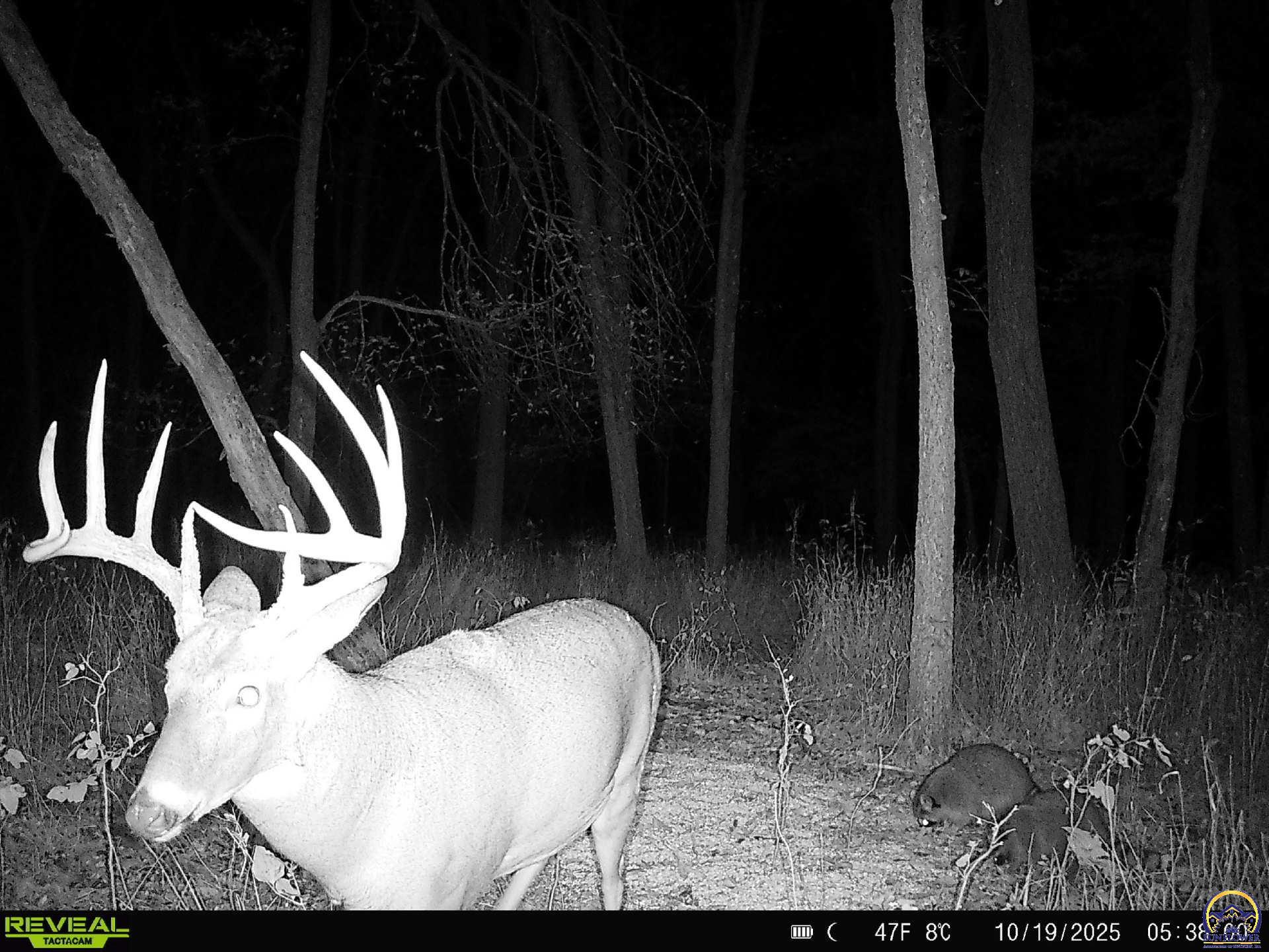 5721-1 Northwest Humphrey Road Topeka, KS 66618 - Photo 72 of 94