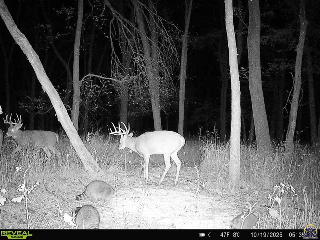 $3,099,995 | 5721 Northwest Humphrey Road, Topeka, KS 66618