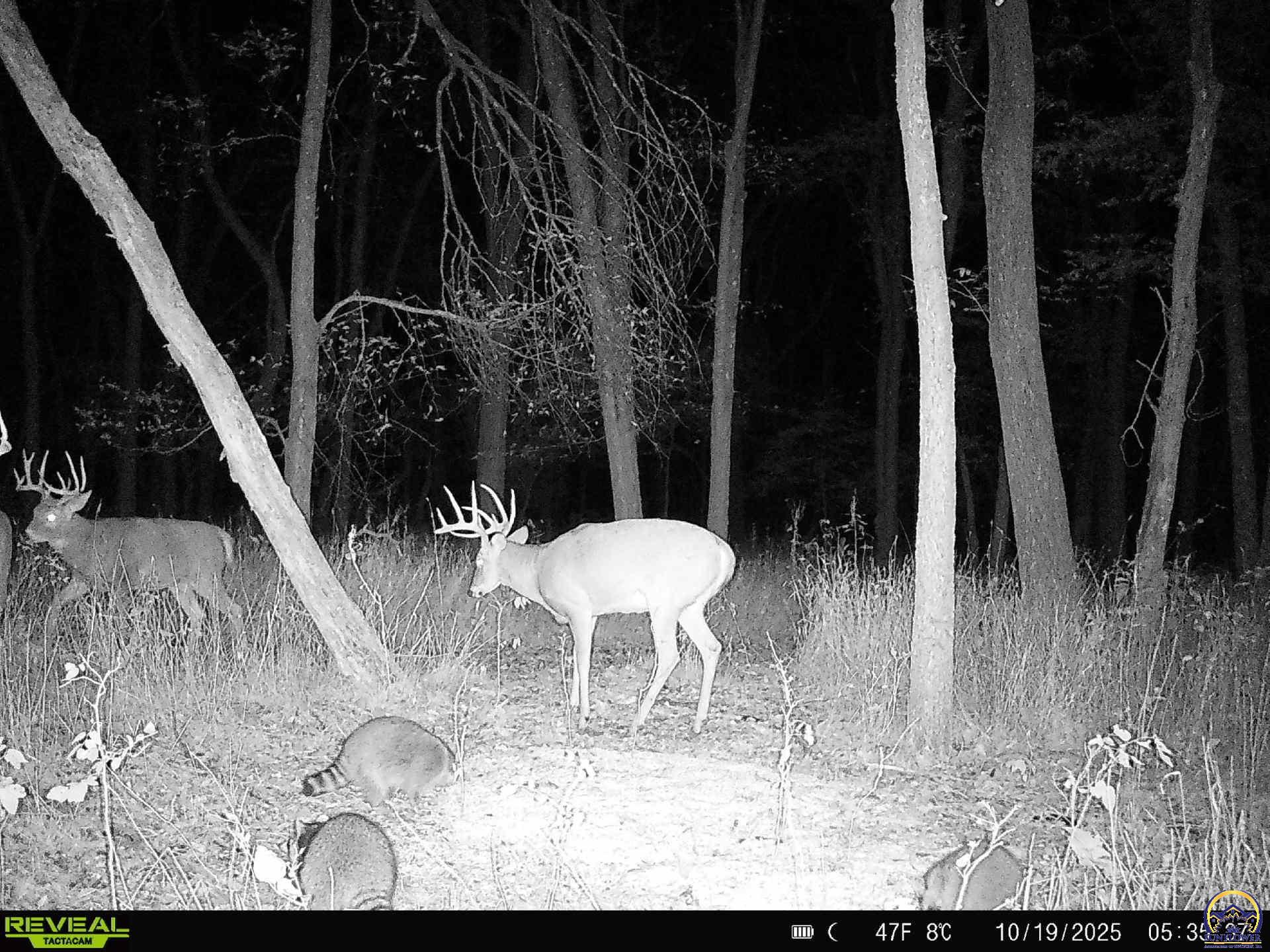 5721-1 Northwest Humphrey Road Topeka, KS 66618 - Photo 74 of 94