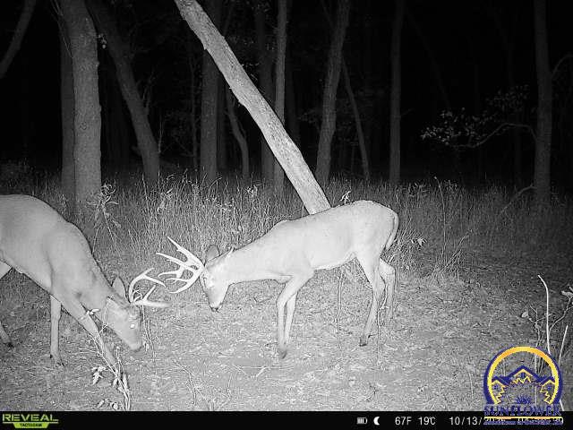 5721-1 Northwest Humphrey Road Topeka, KS 66618 - Photo 75 of 94