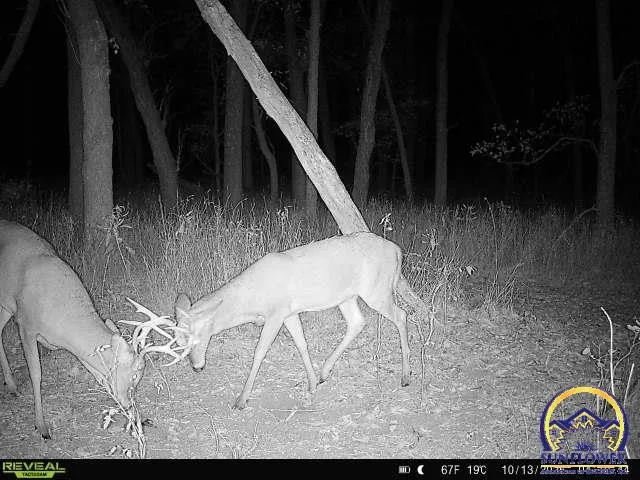 $3,099,995 | 5721 Northwest Humphrey Road, Topeka, KS 66618