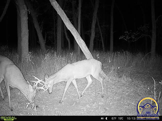 5721-1 Northwest Humphrey Road Topeka, KS 66618 - Photo 76 of 94