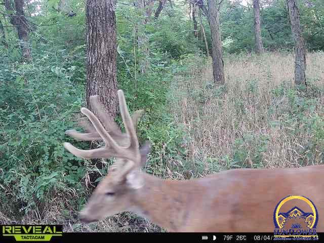 5721-1 Northwest Humphrey Road Topeka, KS 66618 - Photo 77 of 94