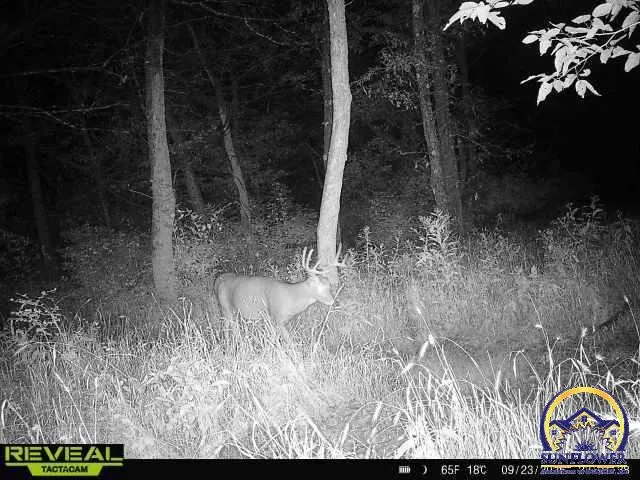 $3,099,995 | 5721 Northwest Humphrey Road, Topeka, KS 66618